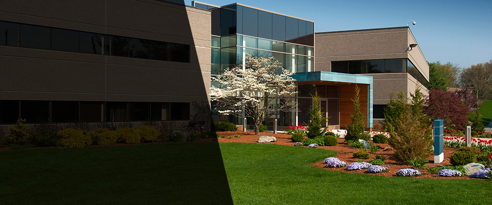 Thiensville Landscapers