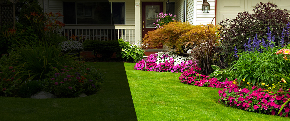 Thiensville Landscapers