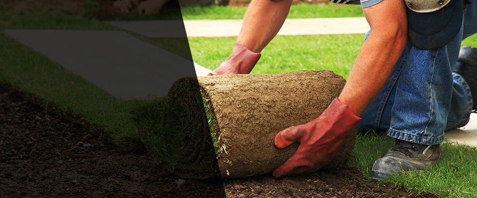 Thiensville Landscapers
